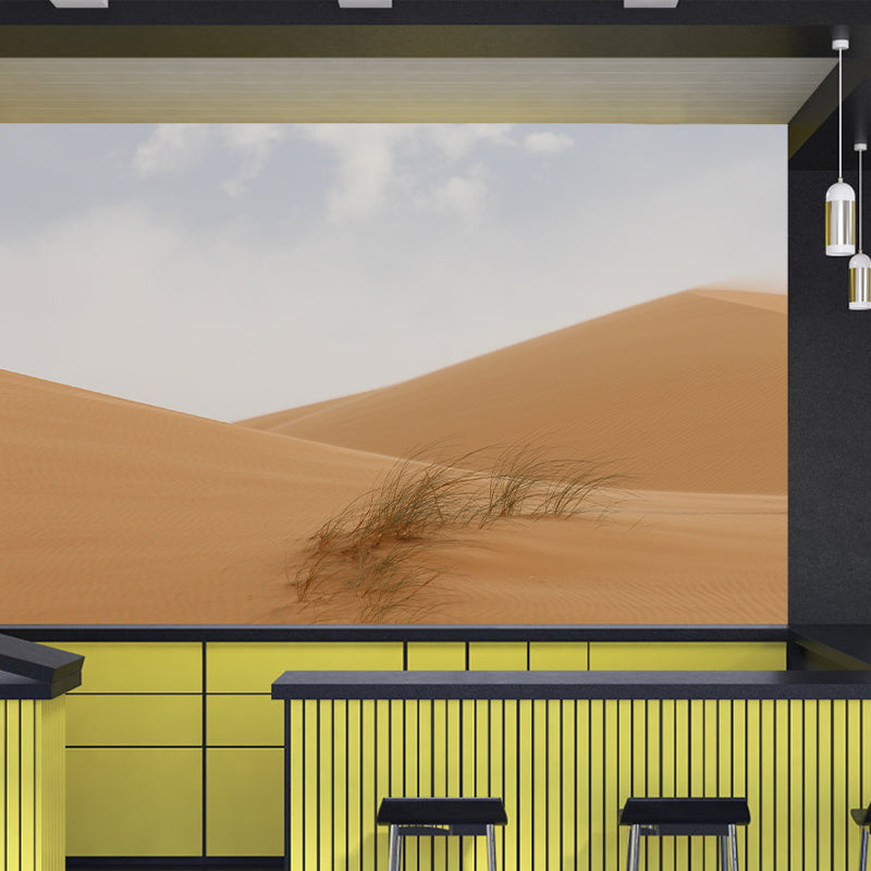 Photography Sand Wall Mural Modern Desert Moisture Resistant Wall Mural