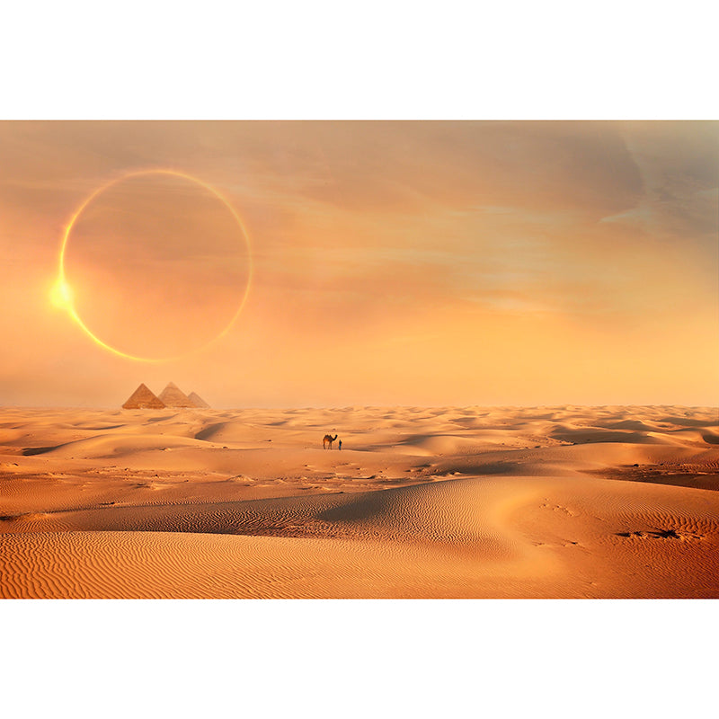 Photography Sand Wall Mural Modern Desert Moisture Resistant Wall Mural