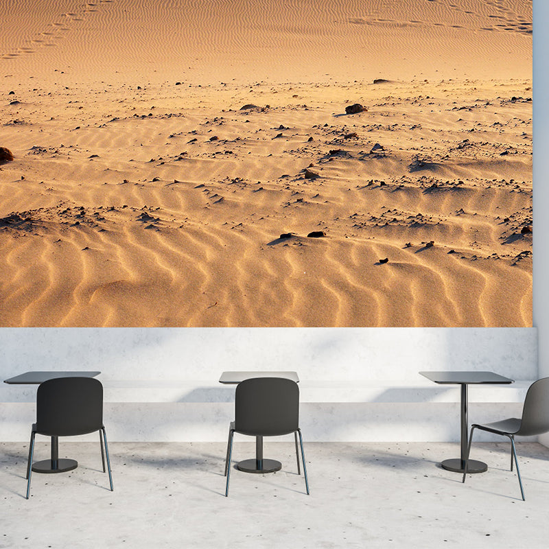 Stain Resistant Wallpaper Desert Photography Environmental Landscapes Wall Mural