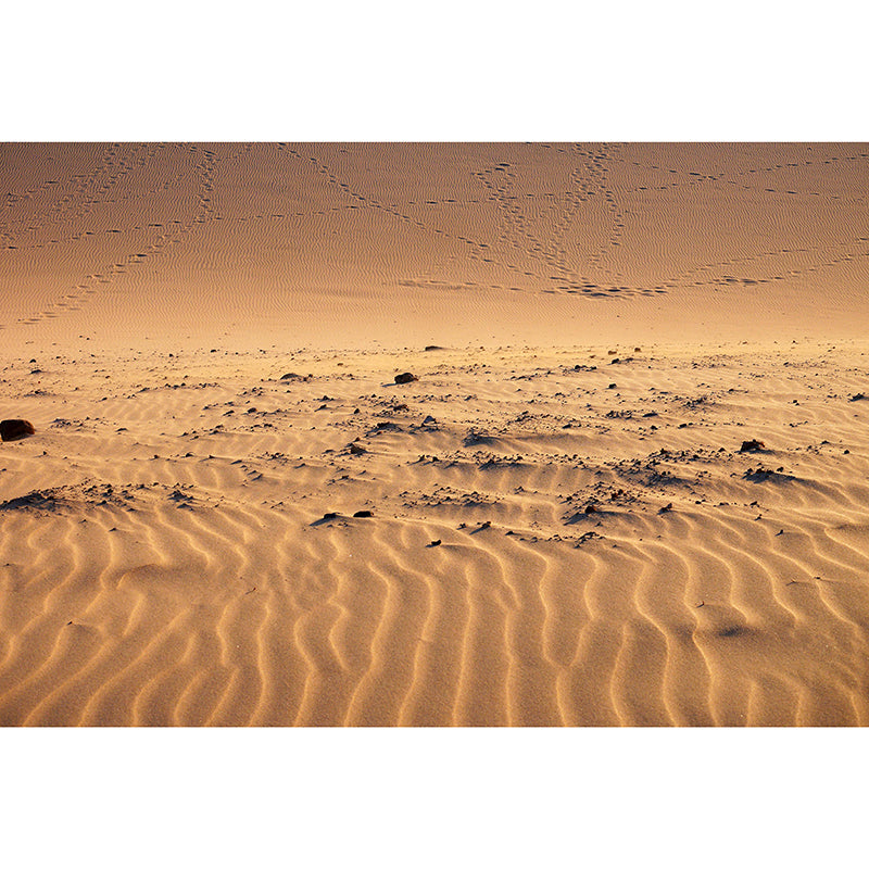 Stain Resistant Wallpaper Desert Photography Environmental Landscapes Wall Mural