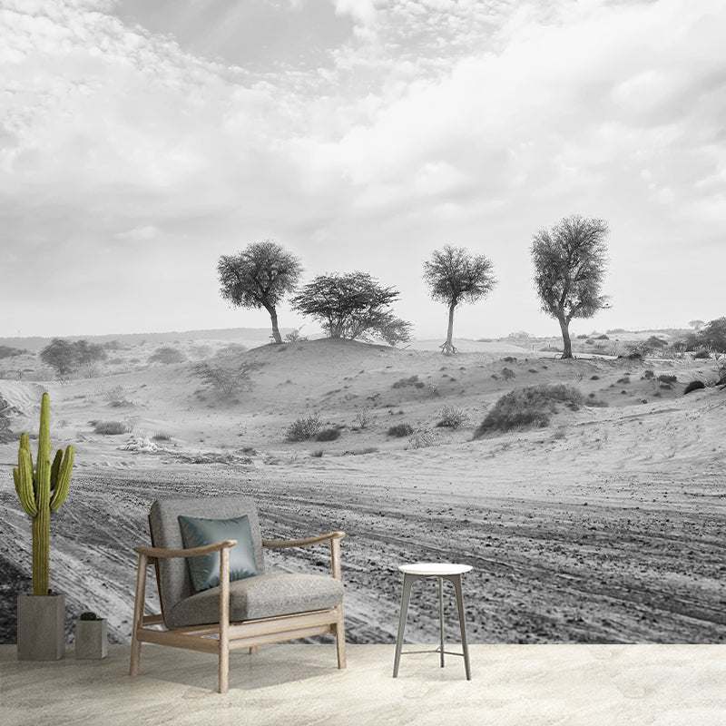 Contemporary Landscapes Wall Mural Photography Desert Resistant Wallpaper