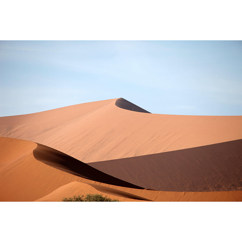 Decorative Photography Mural Desert Print Moisture Resistant Wall Mural