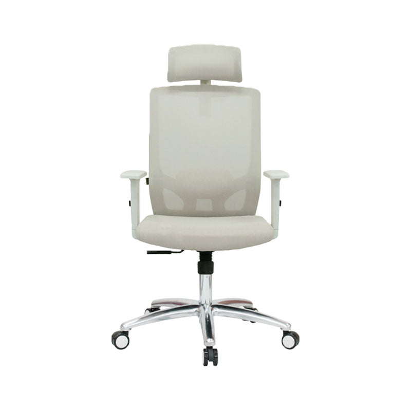 Fixed Arms Desk Chair High-back Ergonomic Office Chair Mesh Desk Chair