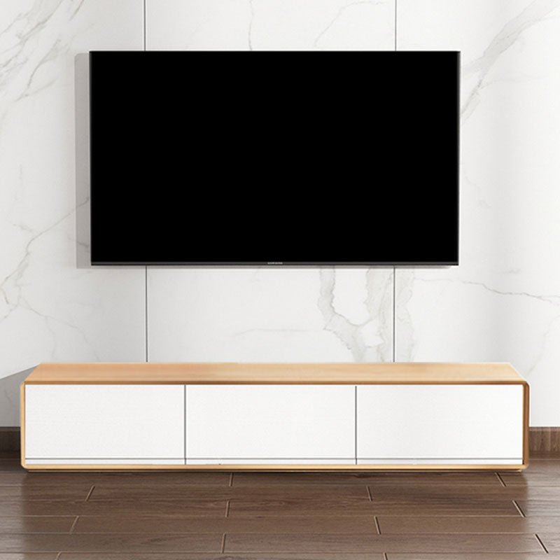 Nordic Simple TV Cabinet Modern Luxury Floor TV Cabinet for Living Room