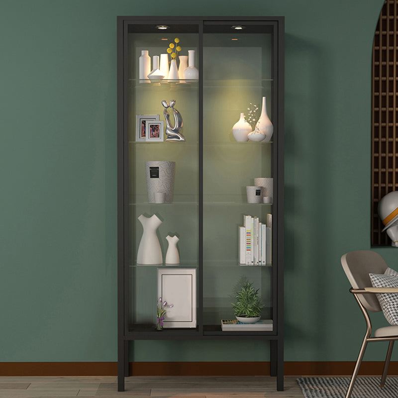 Modern Metal Curio Cabinet Glass Doors with Lighting, 31"L X 16"W