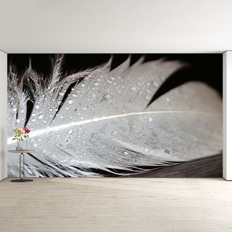 Decorative Feather Wall Mural Mildew Resistant Photography Wall Mural