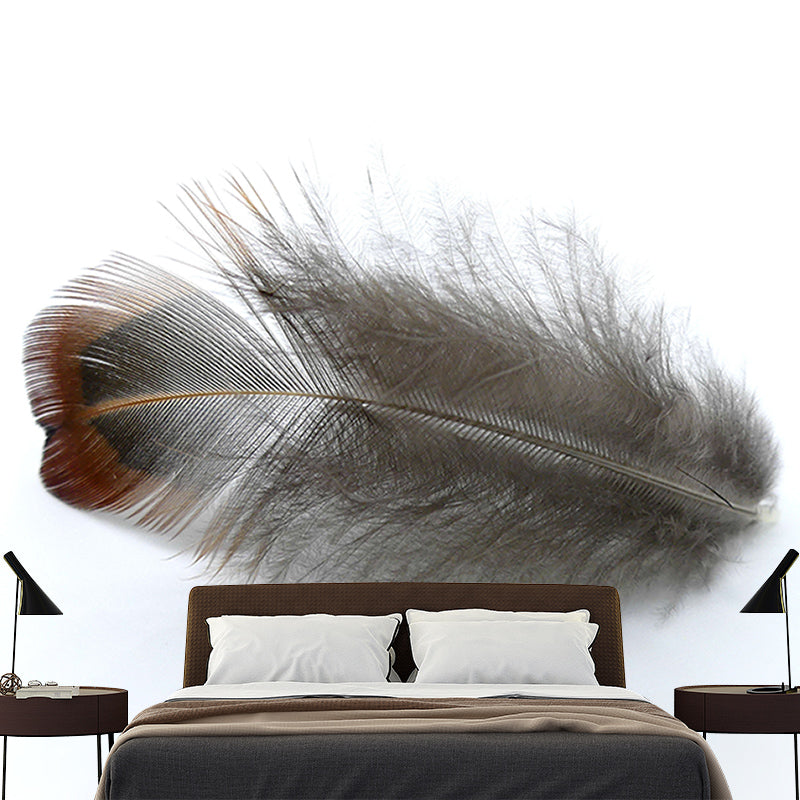 Stain Resistant Photography Wall Mural Contemporary Feather for Accent Wall