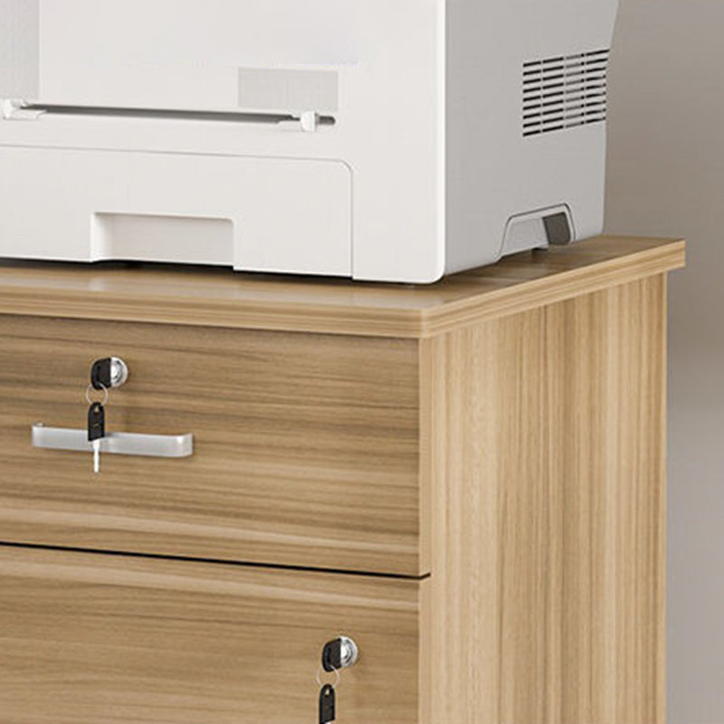 Contemporary Style Lateral Filing Cabinet Metal Filing Cabinet with Lock and Storage