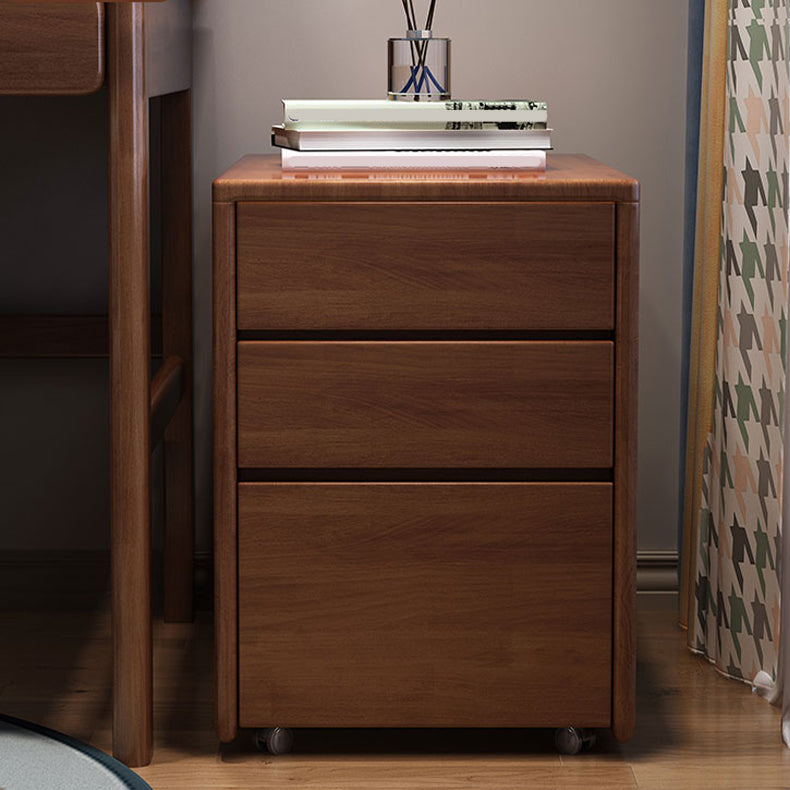 Solid Wood Bedside Cabinet Modern Minimalist Bedside Table with Drawers