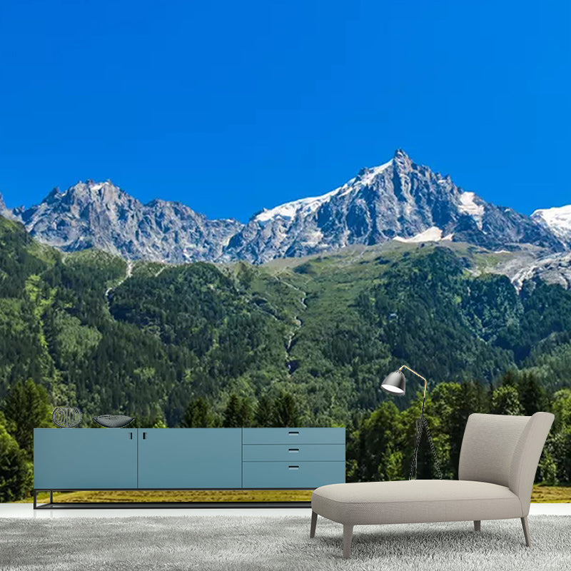 Contemporary Mountain Wall Mural Stain Resistant Modern Photography Mural