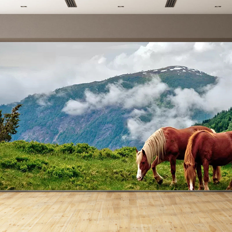 Contemporary Mountain Wall Mural Stain Resistant Modern Photography Mural