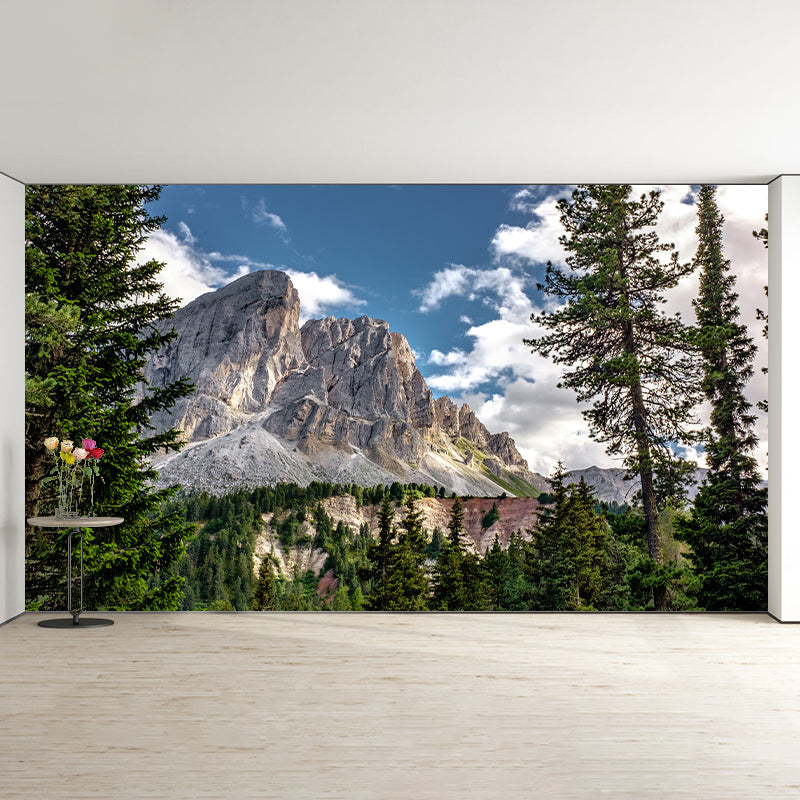 Mountain Photography Wall Mural Contemporary Moisture Resistant Wall Mural