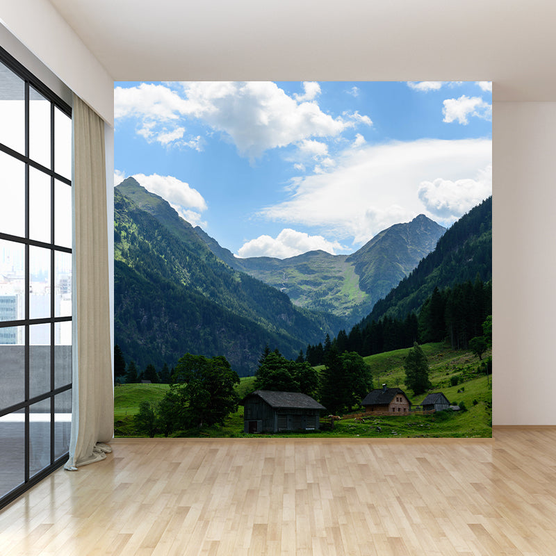 Photography Wall Mural Environmental Landscapes Stain Resistant Wall Mural