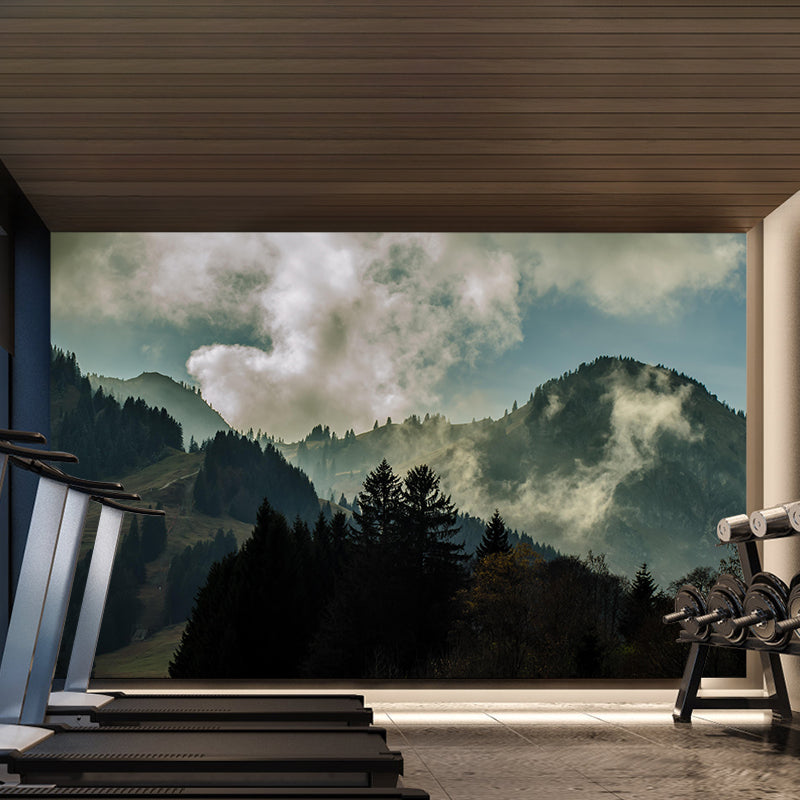 Modern Mural Landscapes Photography Stain Resistant Mountain Environmental Mural