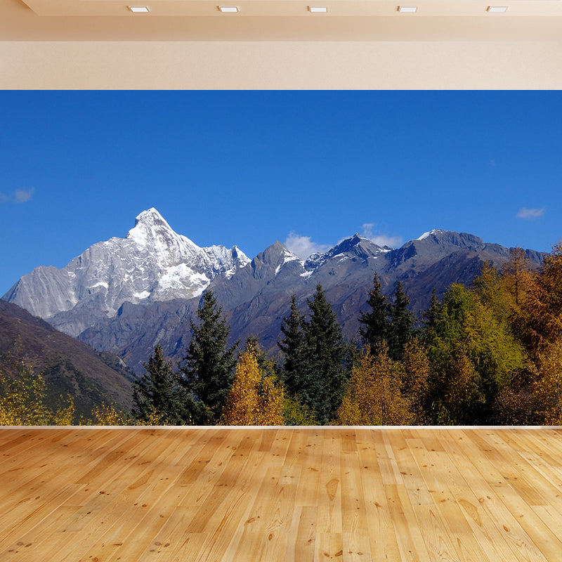 Photography Mountain Wallpaper Modern Stain Resistant Decorative Wall Mural