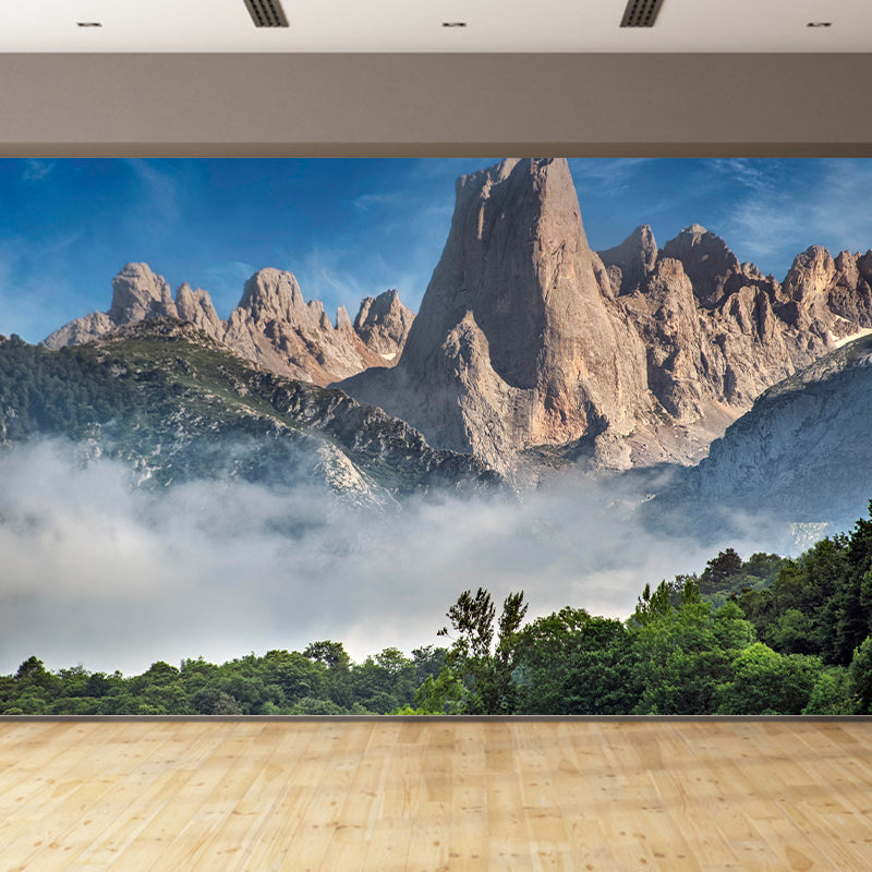 Photography Mountain Wallpaper Modern Stain Resistant Decorative Wall Mural