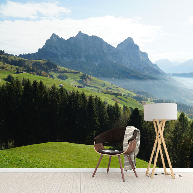 Photography Landscapes Wall Mural Moisture Resistant Mountain Decorative Wall Mural