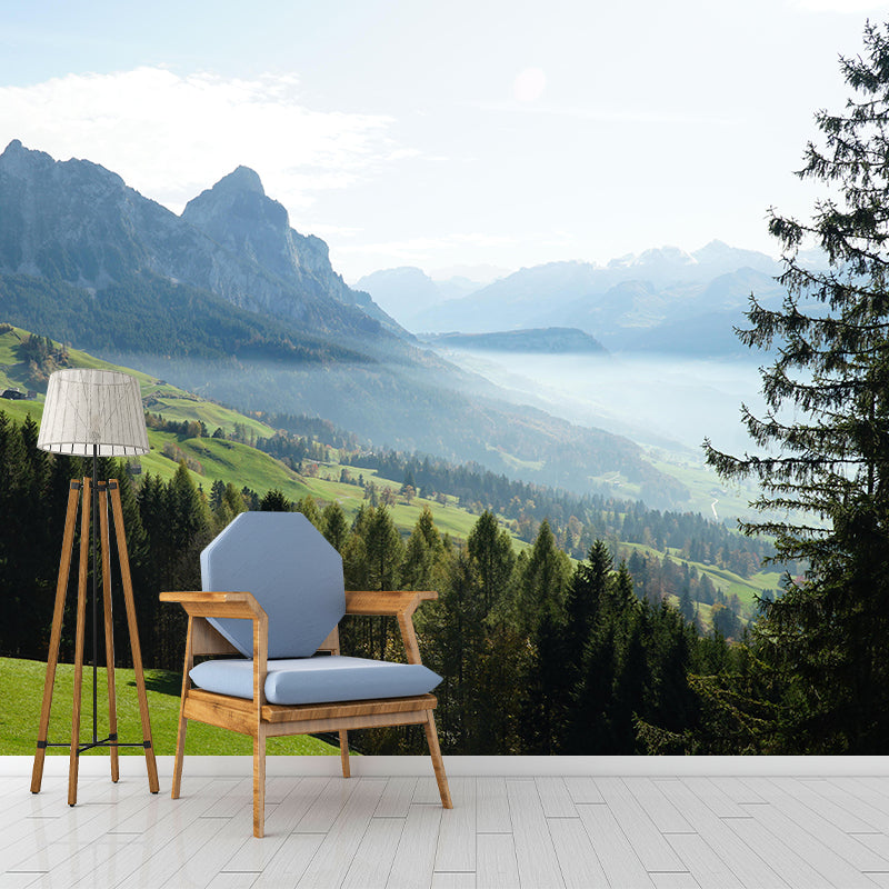 Photography Landscapes Wall Mural Moisture Resistant Mountain Decorative Wall Mural