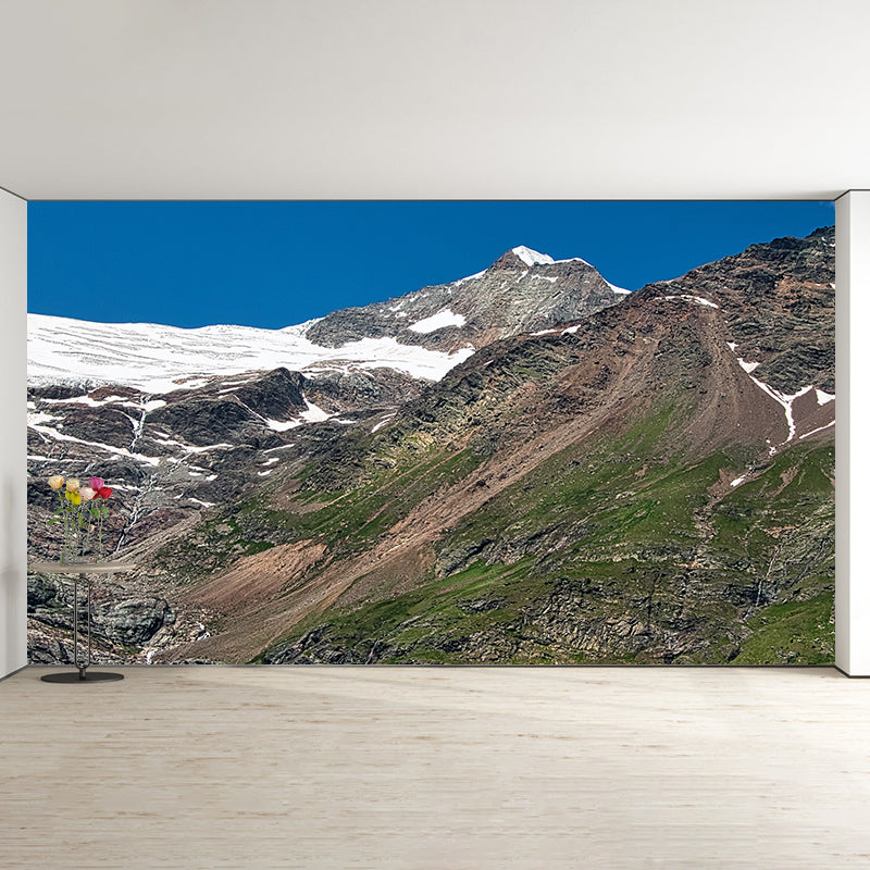 Stain Resistant Wall Mural Photography Environmental Modern Mountain Wall Mural