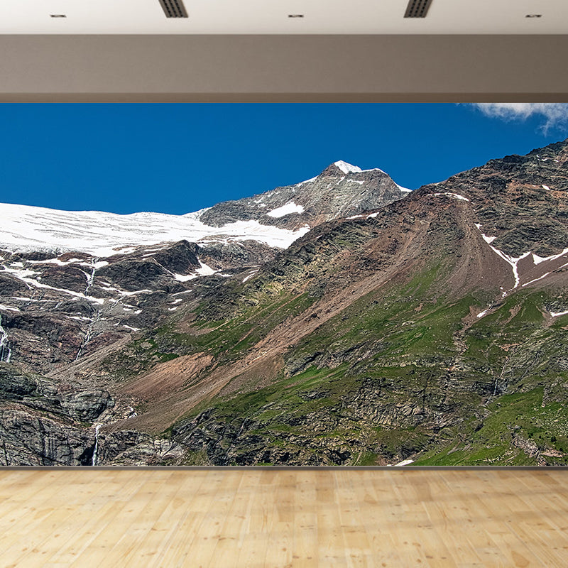 Stain Resistant Wall Mural Photography Environmental Modern Mountain Wall Mural