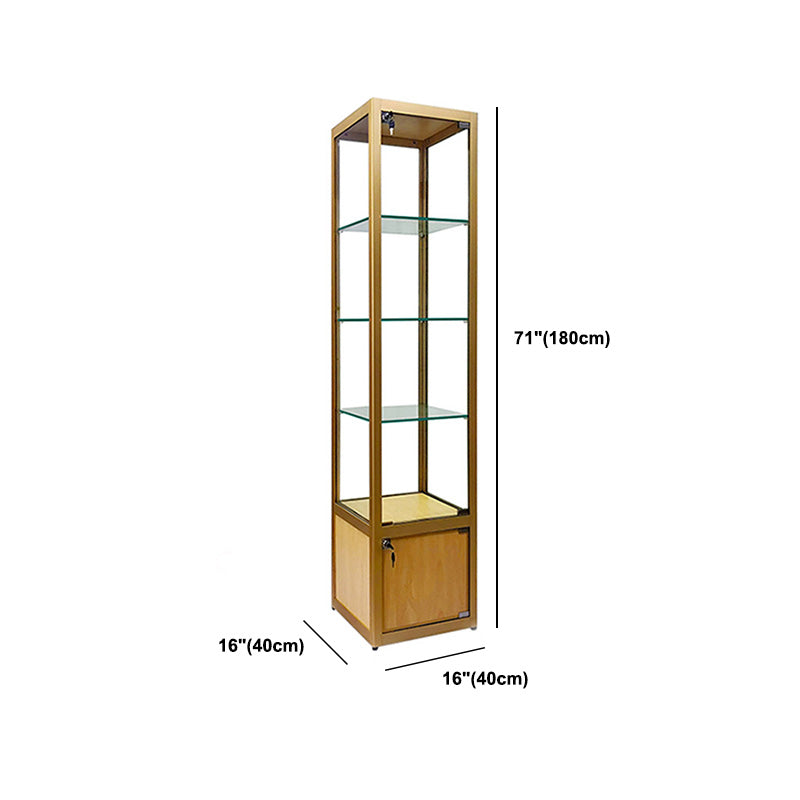 Modern Curio Cabinets Glass Display Cabinet with Locking Doors