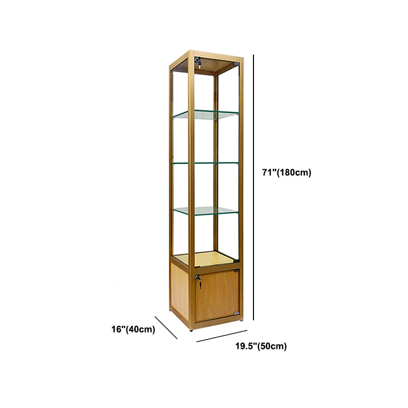 Modern Curio Cabinets Glass Display Cabinet with Locking Doors