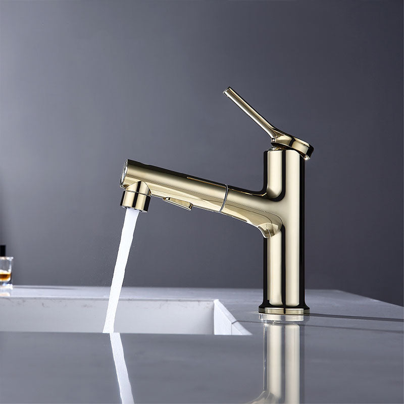 Contemporary Single Handle Faucet Pull-out Sink Faucet with Lever Handle