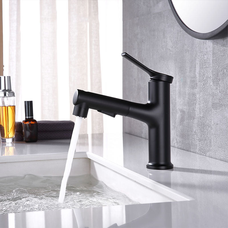 Contemporary Single Handle Faucet Pull-out Sink Faucet with Lever Handle