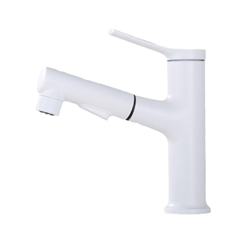 Contemporary Single Handle Faucet Pull-out Sink Faucet with Lever Handle