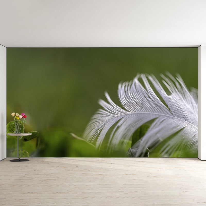 Decorative Photography Wall Mural Stain Resistant Environmental Feather Wallpaper