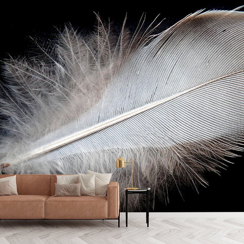 Stain Resistant Wall Mural Photography Feather Contemporary Room Murals