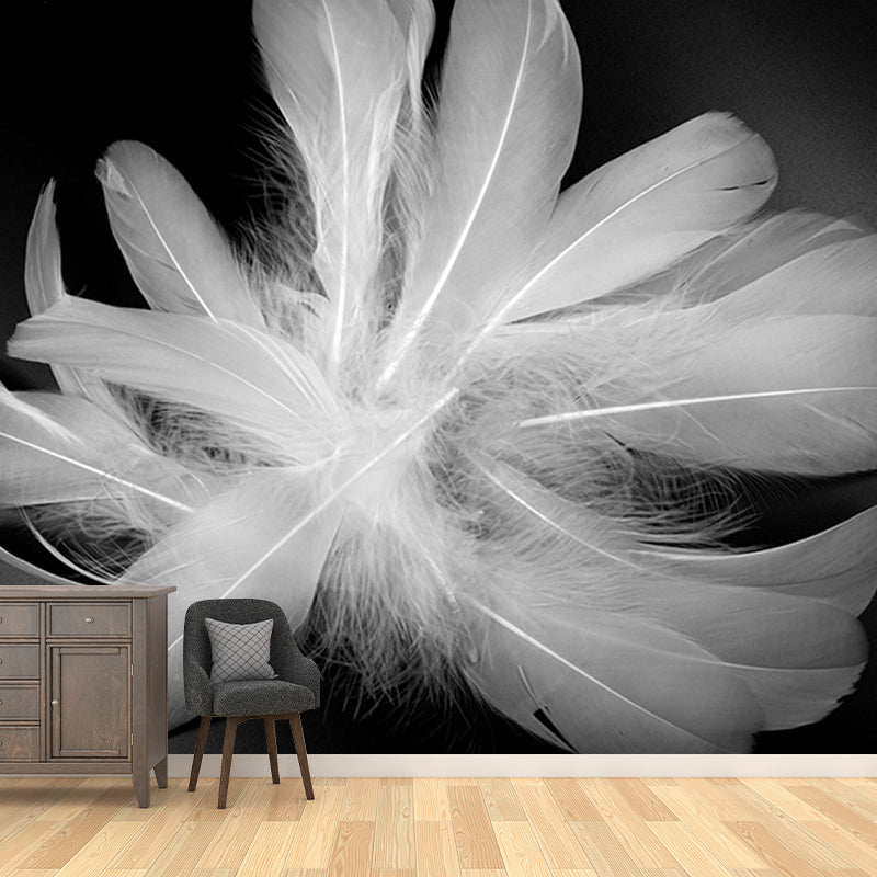 Modern Feather Wallpaper Mildew Resistant Photography Decorative Wall Mural