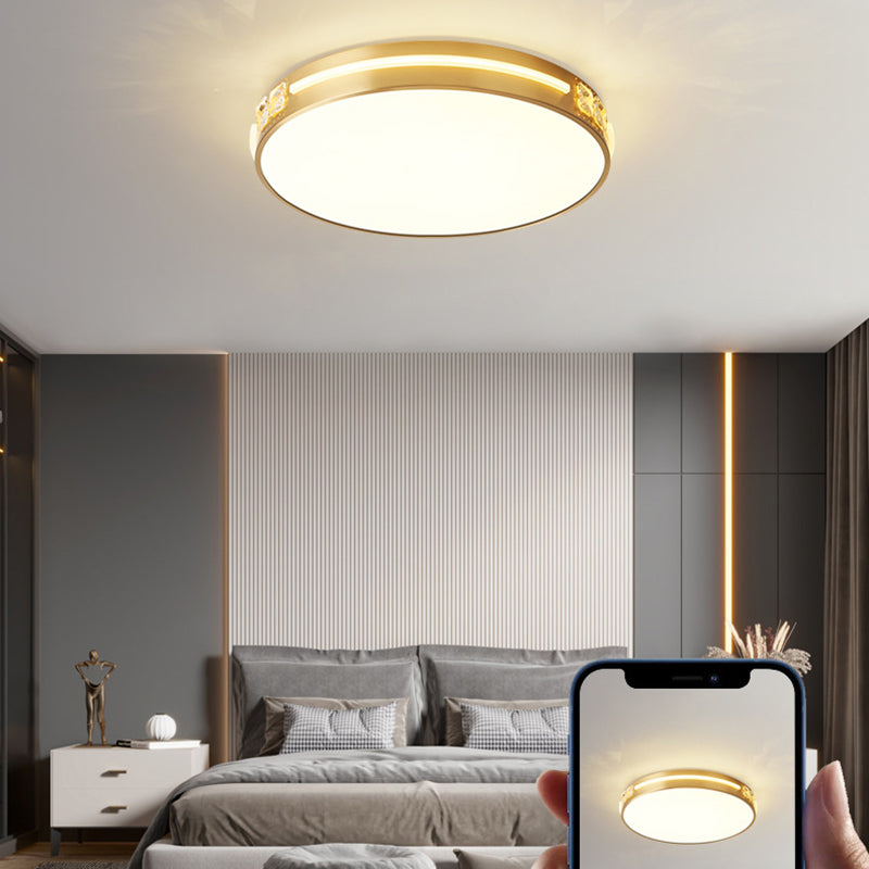 Contemporary Ceiling Lighting Circle Flush Mount Fixture in Gold for Bedroom