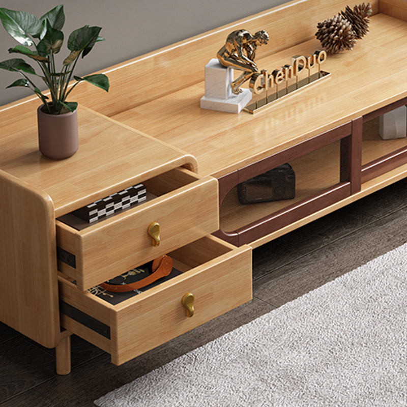 Contemporary Wood TV Stand Enclosed Storage TV Media Stand for Living Room