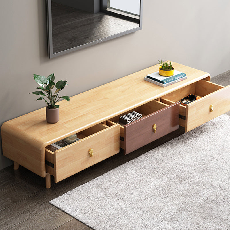 Contemporary Wood TV Stand Enclosed Storage TV Media Stand for Living Room