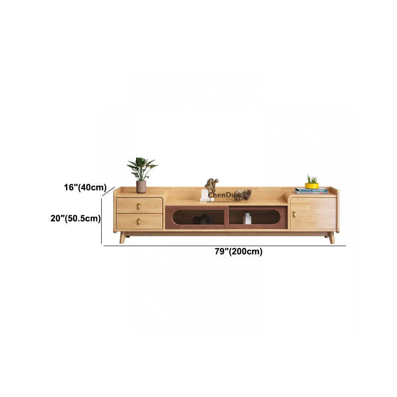 Contemporary Wood TV Stand Enclosed Storage TV Media Stand for Living Room