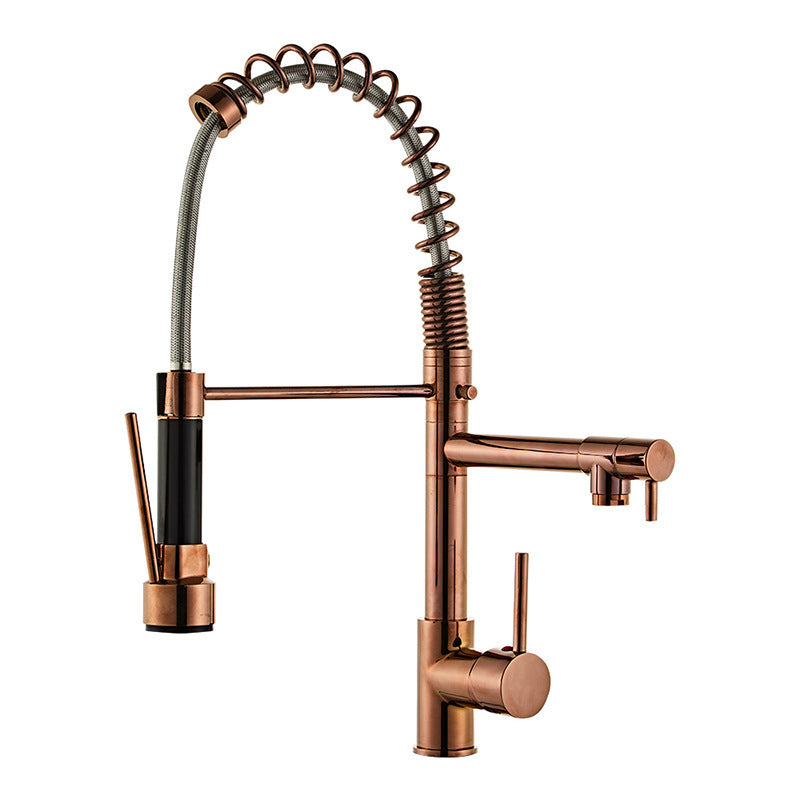 Modern Spring Spout Faucets Handle with Water Dispenser Standard Kitchen Faucets