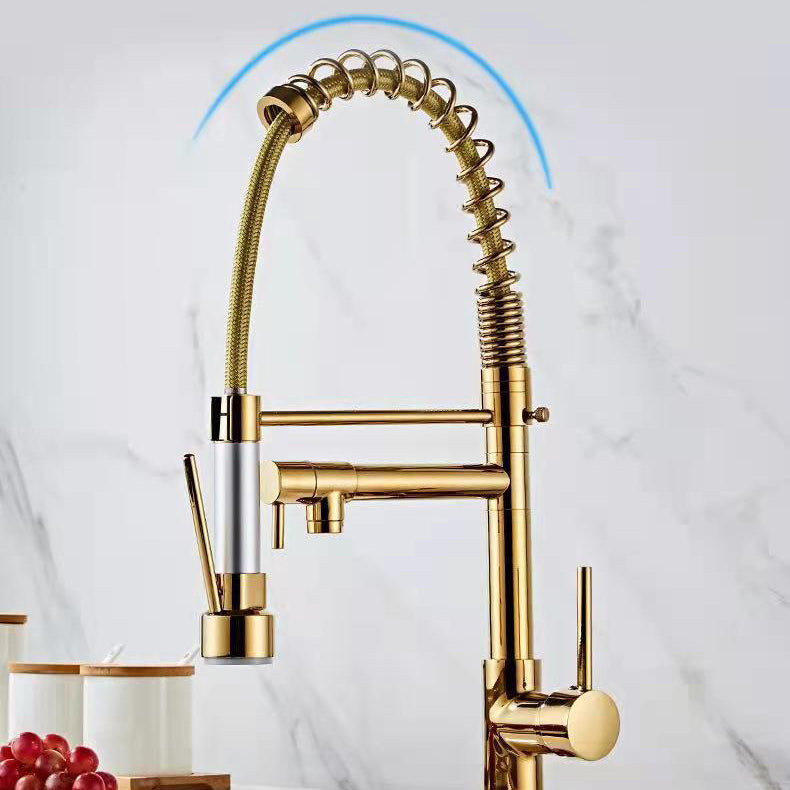 Modern Spring Spout Faucets Handle with Water Dispenser Standard Kitchen Faucets