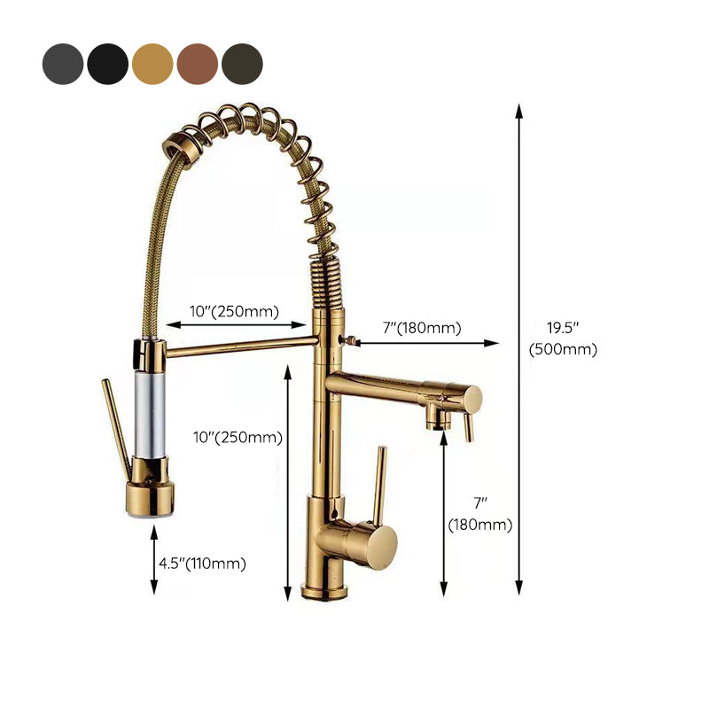 Modern Spring Spout Faucets Handle with Water Dispenser Standard Kitchen Faucets