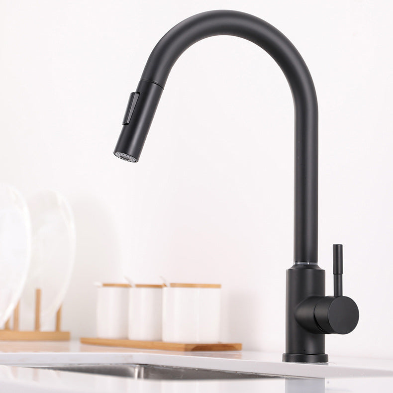 Modern 1-Handle Faucets Stainless Steel Gooseneck with Pull Out Sprayer Faucets