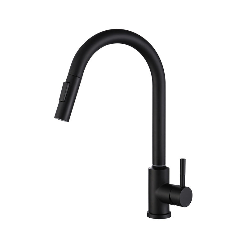 Modern 1-Handle Faucets Stainless Steel Gooseneck with Pull Out Sprayer Faucets