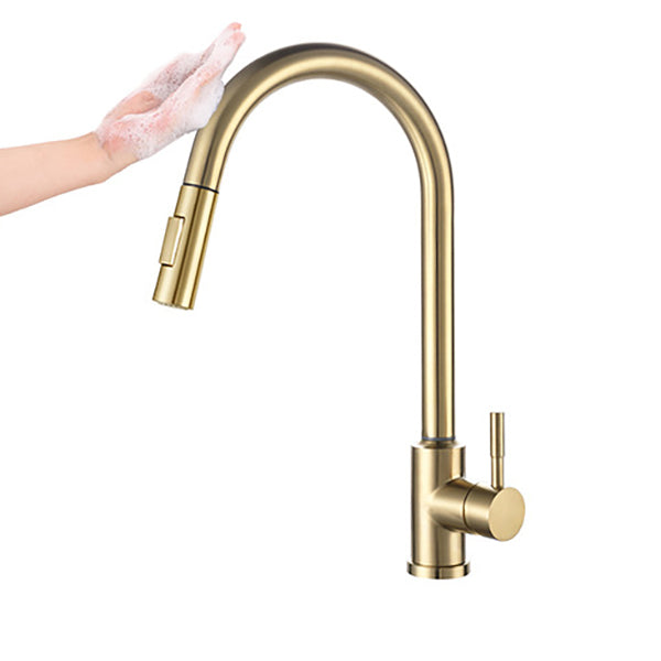 Modern 1-Handle Faucets Stainless Steel Gooseneck with Pull Out Sprayer Faucets