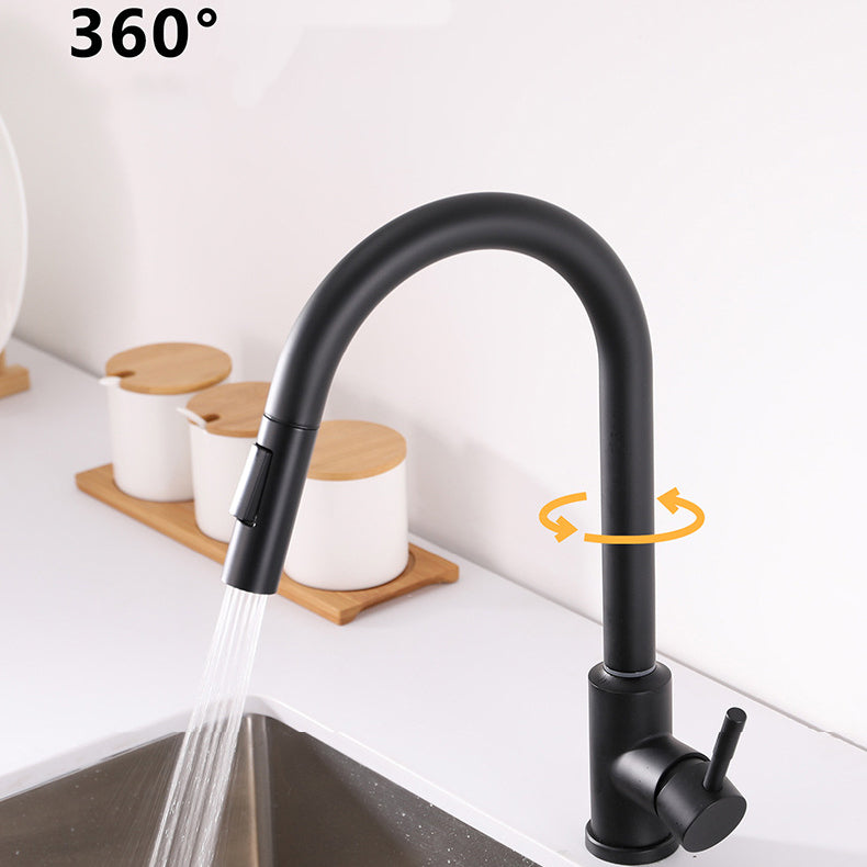 Modern 1-Handle Faucets Stainless Steel Gooseneck with Pull Out Sprayer Faucets