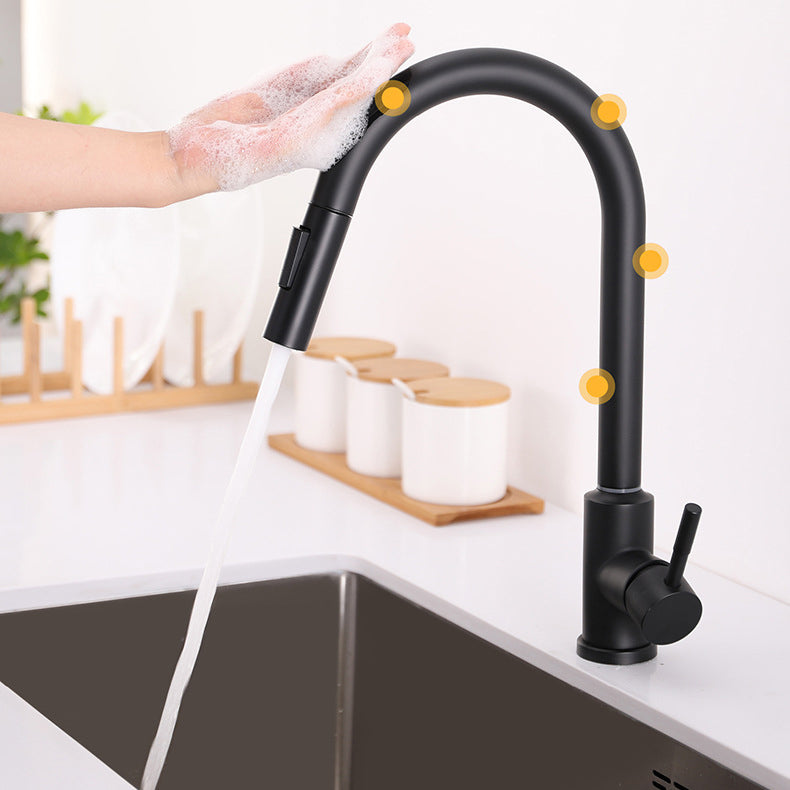 Modern 1-Handle Faucets Stainless Steel Gooseneck with Pull Out Sprayer Faucets