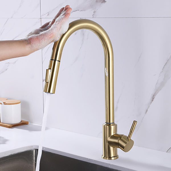 Modern 1-Handle Faucets Stainless Steel Gooseneck with Pull Out Sprayer Faucets