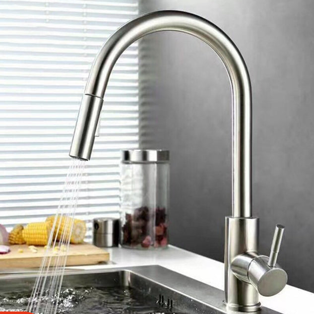 Modern Style Kitchen Faucet Stainless Steel 1-Handle Gooseneck Kitchen Faucet