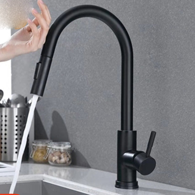 Modern Style Kitchen Faucet Stainless Steel 1-Handle Gooseneck Kitchen Faucet