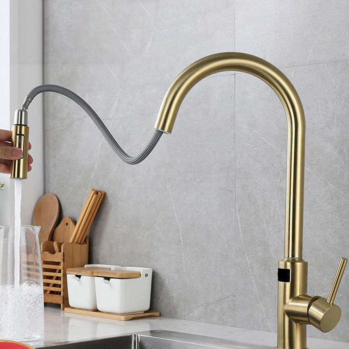 Modern Style Kitchen Faucet Stainless Steel Single Handle Retractable Kitchen Faucet