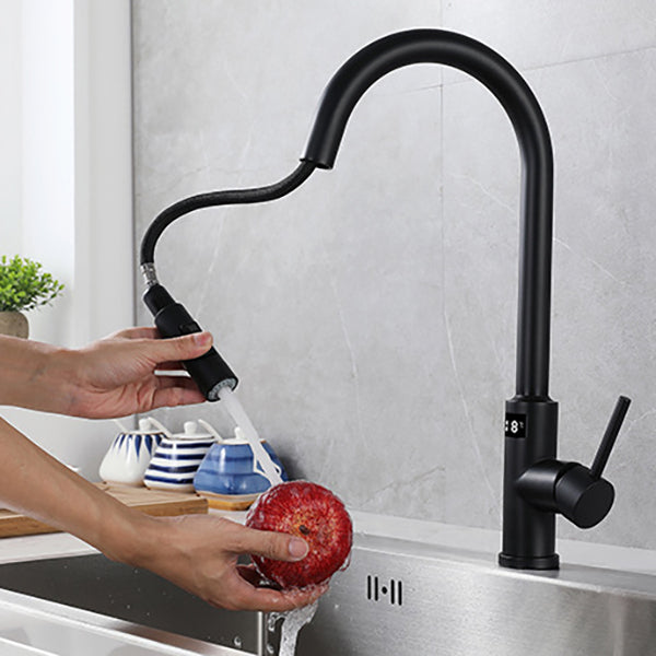 Modern Style Kitchen Faucet Stainless Steel Single Handle Retractable Kitchen Faucet