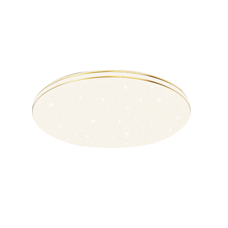 Single Golden Flush Mount Lighting LED Ceiling Light for Living Room